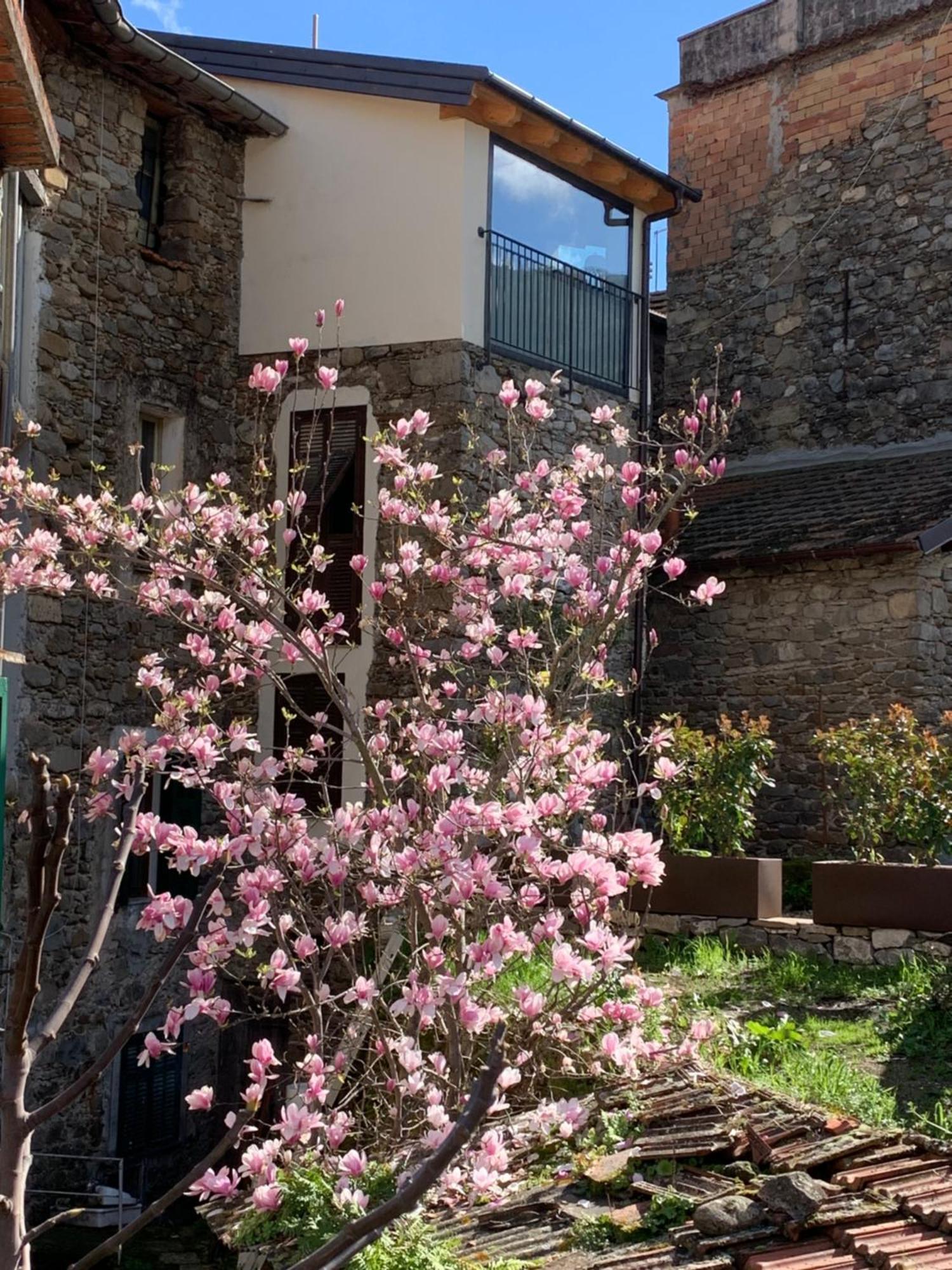 Vicolo Rosso 2 Villa Dolceacqua Exterior foto